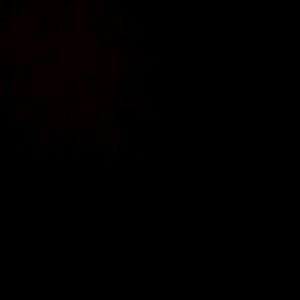 Meet your Posher, Lionel